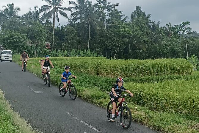 Private Ubud Downhill Cycling with Volcano, Rice Paddies & Meal - Mount Batur and Kintamani: Why This Crater-Lake View Gets Mentioned