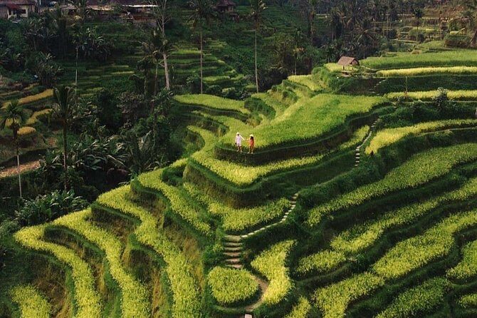 Private Ubud Tour - Key things worth knowing before you go