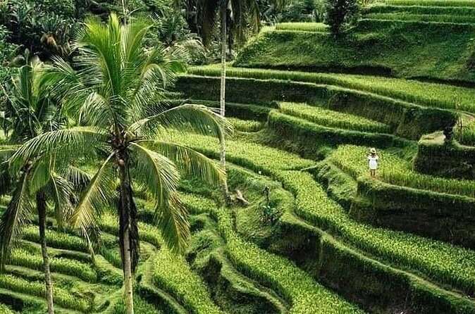 Private Ubud Tour - Batuan Temple for Old-School Balinese Hindu Architecture