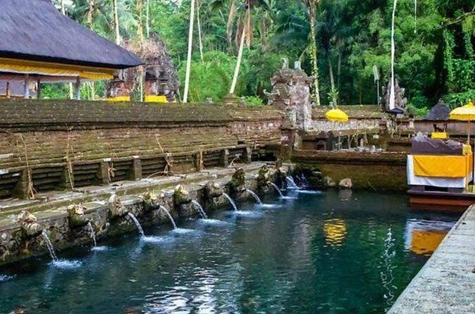 Private Ubud Tour - Tegalalang Rice Terrace: The Ubud Icon