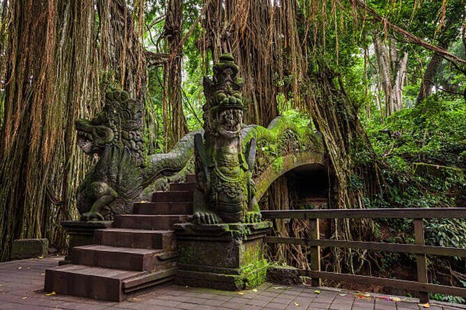 Private Ubud Tour: Monkey Forest, Waterfall & Rice Terrace - How Guide and Car Access Turn a 6-8 Hour Day Into a Real Plan