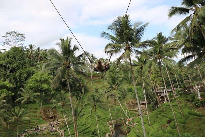 Private Ubud Tour Package - Barong and Fire Dance: a one-hour hit of traditional Bali theater