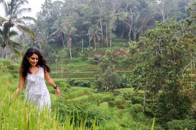 Private Ubud Tour: Waterfall, Rice Terrace & Monkey Forest - Sacred Monkey Forest Sanctuary: Fun Energy, Real Nature Rules