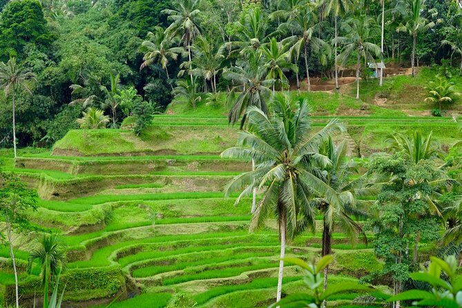 Private Ubud Tour with Hidden Waterfalls - Tohpati for Batik: Fast Crafts, Real Patterns, Included Entry