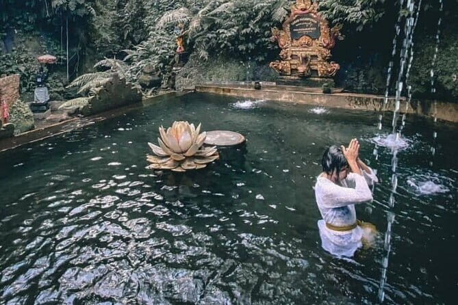 Purification Ceremony, Kehen Temple and Goa Raja Waterfall Tour - Should You Book This Purification, Kehen Temple and Goa Raja Waterfall Tour?