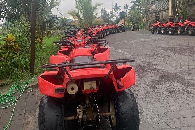 Quadbike Adventure with Tunnel and Waterfall Tour in Bali - Price value around $34.53 and what costs extra