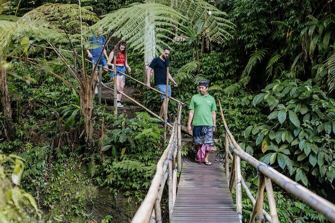 Quick Access: The Bali Instagram Small Group Tour - Tegalalang Rice Terraces: the UNESCO-style walk you’ll remember