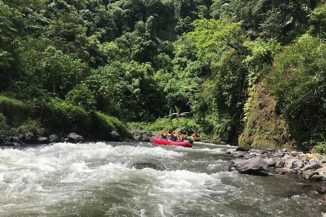 Rafting Adventure 18 km and Balinese Village Life Tour with Lunch - Klungkung village walk: rice fields and family compounds