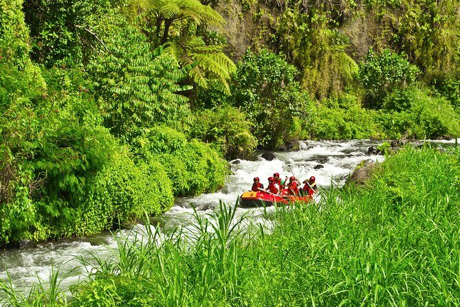 Rafting Adventure 18 km and Balinese Village Life Tour with Lunch - Balinese family-style lunch in a private home