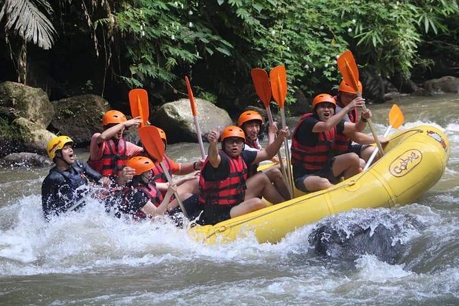 Rafting Swing Monkey Forest And Waterfall Tour All Inclusive - A 7-hour Seminyak-to-Ubud day that actually stays fun