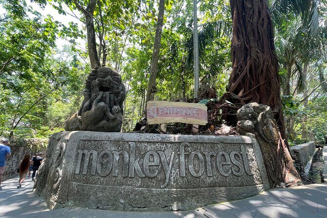 Rafting Swing Monkey Forest And Waterfall Tour All Inclusive - Timing and pacing: how the 4 stops likely feel in real life