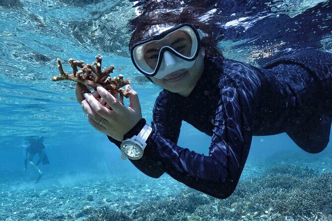 Reef Rehabilitation Course and Snorkeling - Getting the reef basics right: the presentation that makes planting practical