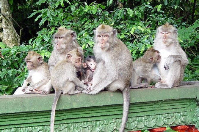 Royal Family Temple, Monkey Forest, and Tanah Lot Sunset Tour - Price and Value: Is $44 Worth It in Bali?
