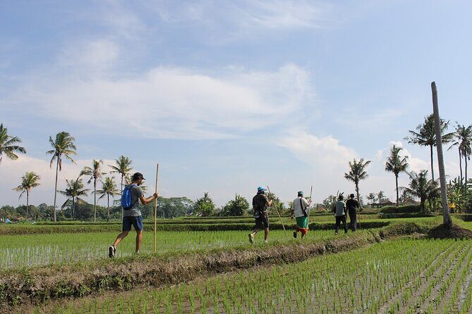 Rural Charm of Bali Tour - Why Gulingan Village Feels Like a Real Countryside Detour