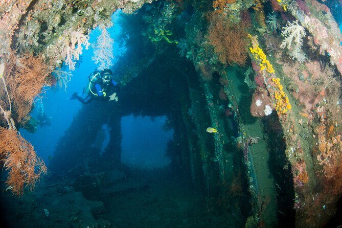 Sanur Open Water Course learn diving in 3 Days - Get certified & Dive everywhere - Day 2 in Sanur Bay: Your first open-water training sessions