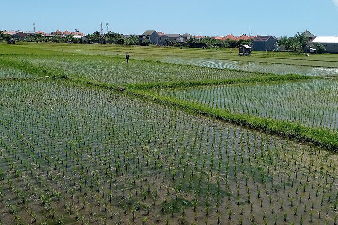 Sanur Village E-bike Tour: Family-Friendly Adventure - Family-friendly, but with real-world rules