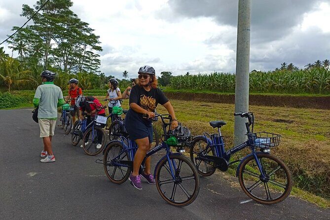 Sanur Village E-bike Tour: Family-Friendly Adventure - The real value of the $46.48 price (and what you should check)