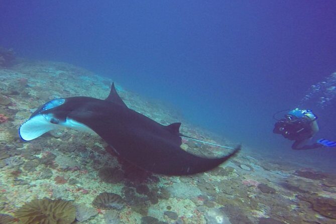 Scuba Diving in Nusa Penida - Manta Point - Gear fit and prep at the Sanur scuba base (this is where comfort starts)