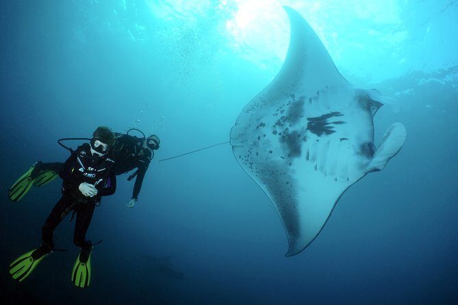 Scuba Diving Nusa Penida Manta Point 3 dives for certified divers - Timing and getting there: a smooth day that starts early