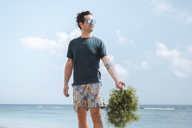 Seaweed Farming Activity and Sightseeing at Diamond Beach - Key highlights before you go