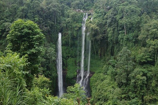 Sekumpul waterfall & aling2 waterfall with private service (including activity) - Who should book this private waterfall-and-cliff-jump combo