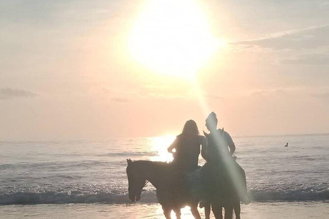 Seminyak Beach Bali Horse Riding - Who should book this Seminyak horse ride (and who might feel iffy)