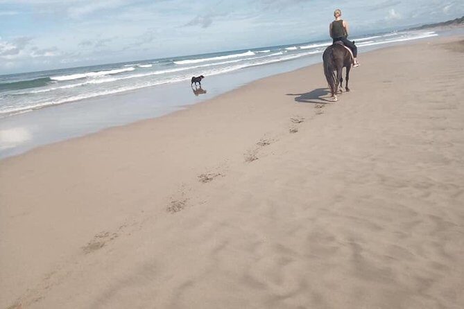 Seminyak Beach Bali Horse Riding - Making the hour work: timing, weather, and communication