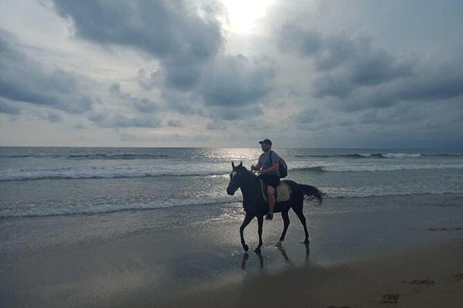 Seminyak Beach Bali Horse Riding - Sunset rides, photo stops, and the guide vibe