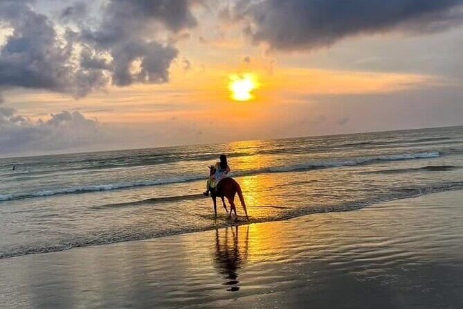 Seminyak Horse back riding In the beach - Horses, ponies, and the 85 kg limit: comfort and realism
