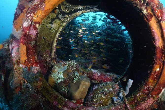 Shipwreck Diving in Tulamben - Getting from Kuta/Sanur to Tulamben without the headache