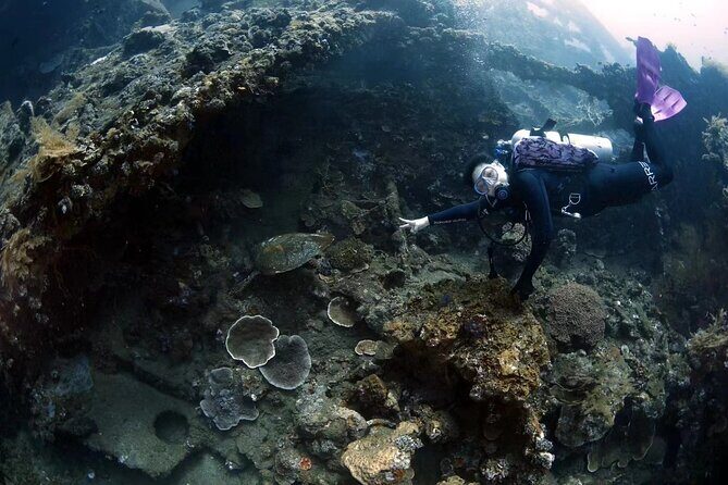 Shipwreck Diving in Tulamben - Food and downtime: snacks on the water, lunch on the return