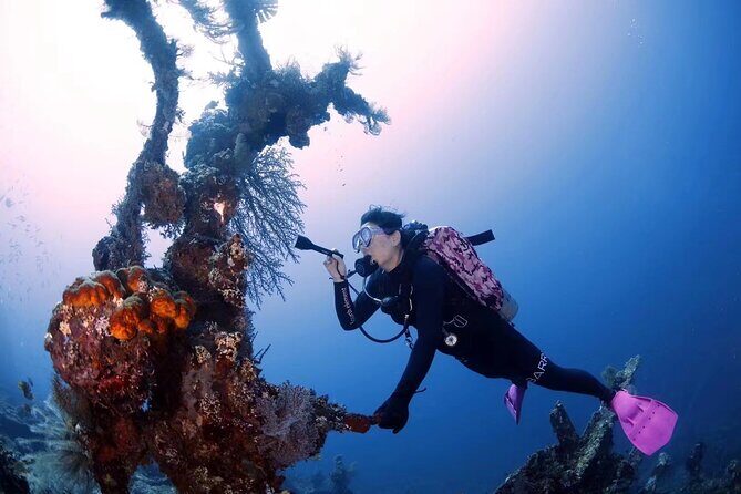 Shipwreck Diving in Tulamben - Gear-fit details you should handle early