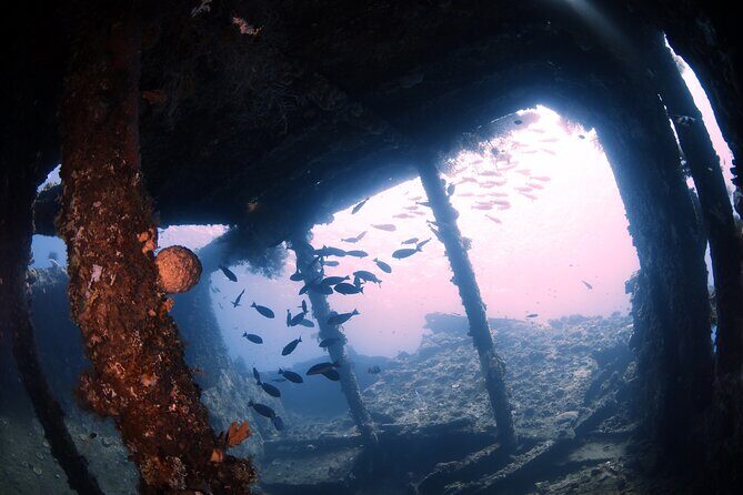 Shipwreck Diving in Tulamben - Neptune’s all-in setup: gear, insurance, and what you actually save