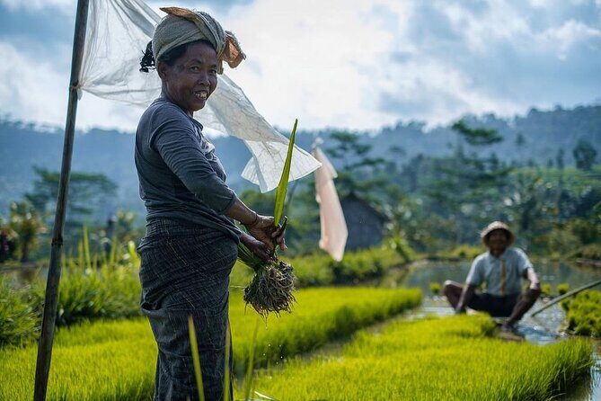 Sidemen Trekking: A Walk from a Different Perspective - Price and What You Actually Get for $13.75