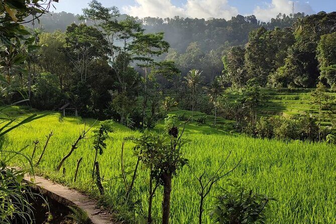 Sidemen Trekking: A Walk from a Different Perspective - The Real Walking Condition: Easy Effort, Serious Footing