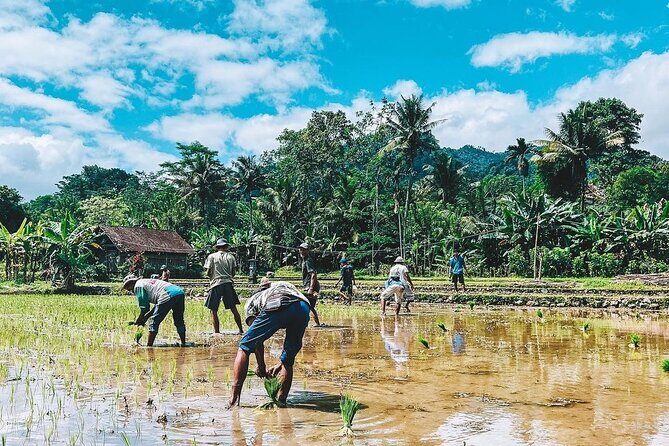 Sidemen Trekking: A Walk from a Different Perspective - The Finish at Warung Ume Anyar: Build the Rest of Your Day