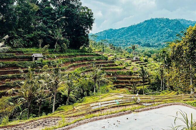 Sidemen Trekking: A Walk from a Different Perspective - The First Walk Segment: From Market Energy to Rice-Field Silence