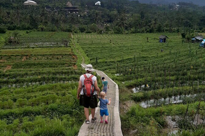 Sidemen Trekking Through Rice Terraces and Villages - Key highlights I’d circle before booking