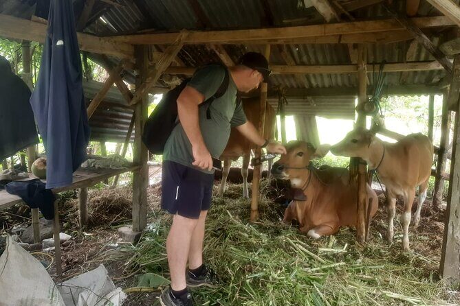 Sidemen Trekking Through Rice Terraces and Villages - Temples and daily routines: what you’ll notice once you slow down