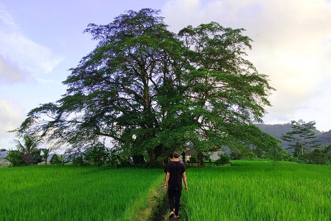Sidemen Trekking with Cultural Encounters and Nature Views - Key things to know before you go