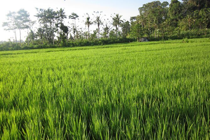 Sidemen Trekking with Cultural Encounters and Nature Views - Sidemen on Foot: Why This Walk Feels Different