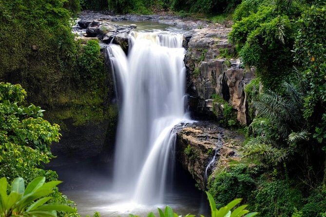 Skip-the-Line: Ubud Tour - All Inclusive Tickets - Private driver, English guide: when explanations matter