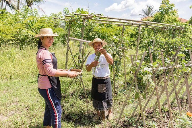 Small-Group Farm Tour & Balinese Cooking Class in Ubud with Kadek - The Balinese dishes: what you might make (and what to expect)