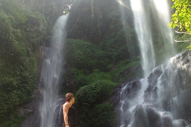 Small-Group Sekumpul Waterfall Jungle Trek with Lunch - Rainforest walking through rice fields, plantations, and local villages