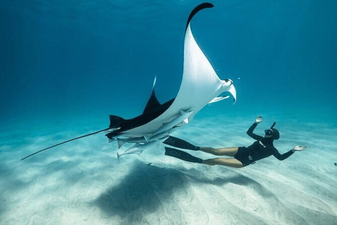 Snorkeling 3 Spots with GoPro & West Coast Tour Nusa Penida - Key Highlights You’ll Actually Care About