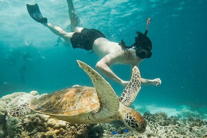 Snorkeling 3 Spots with GoPro & West Coast Tour Nusa Penida - Gamat Bay: The Reef Portion You Can Enjoy Even Without Mantas