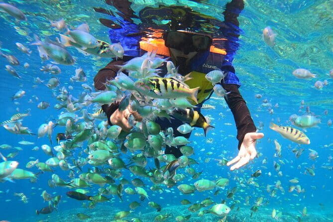 Snorkeling 3 Spots with GoPro & West Coast Tour Nusa Penida - What’s Included, and Where You’ll Spend Extra