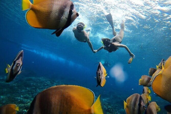 Snorkeling 3 Spots with GoPro & West Coast Tour Nusa Penida - Practical Advice for Getting Better Results in the Water