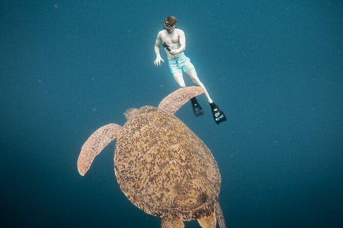 Snorkeling 3 Spots with GoPro & West Coast Tour Nusa Penida - GoPro Documentation: Good for You, Not Just for the Algorithm