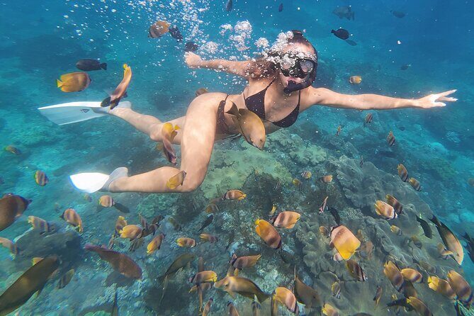 Snorkeling 4 Spot With Manta Bay Or Optional Land Trip - Why This 4-Spot Snorkel Works So Well in Bali’s Busy Schedule